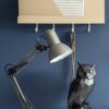 Lampe bureau Hobby